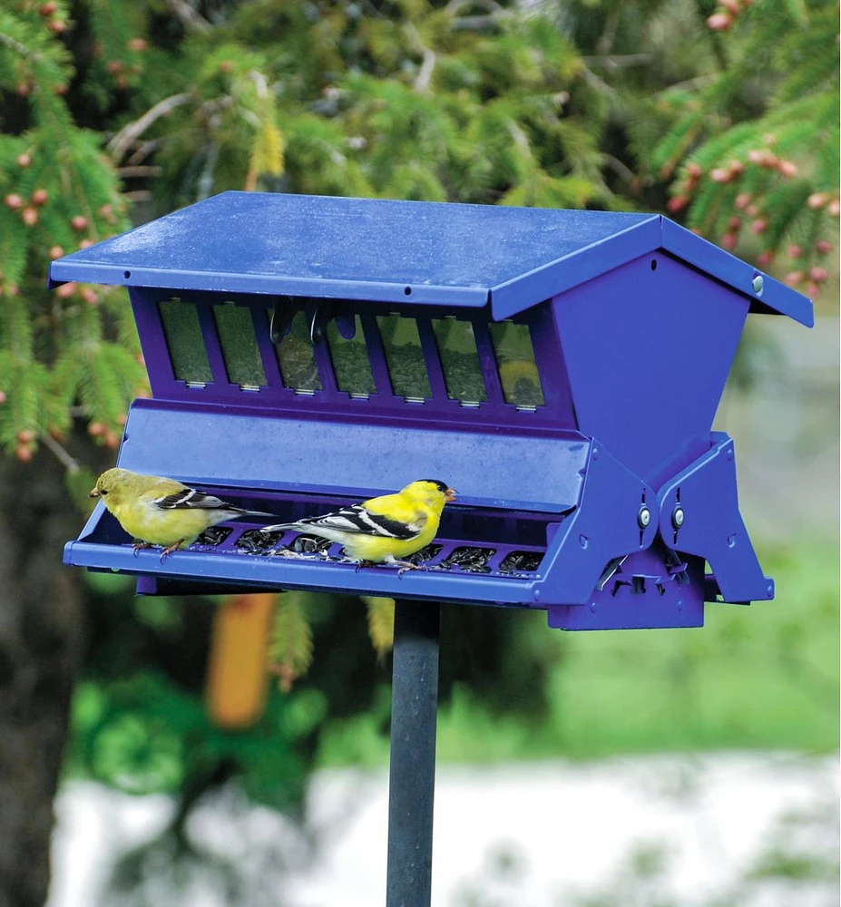 Double-Sided Large Squirrel-Resistant Feeder