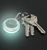 Carabiner LED Light