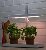 Tabletop LED Grow Light