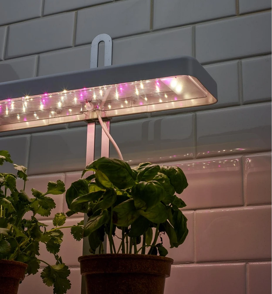 Tabletop LED Grow Light