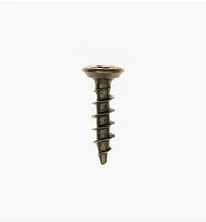 Antique Brass Hinge Screws