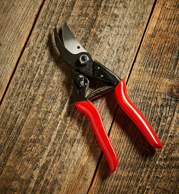 Felco #5 Pruner