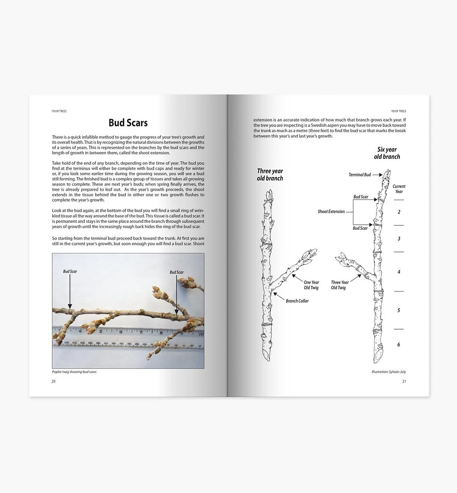 Your Trees: What They Want You to Know