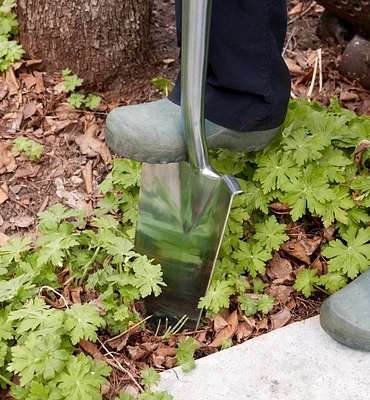 Bêche à transplanter en acier inoxydable