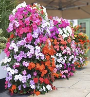 Duo de jardinières verticales