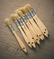 Disposable Natural-Bristle Brushes