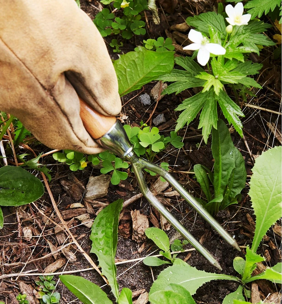 Lee Valley Container Garden Jekyll Weeder