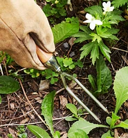 Arrache-mauvaises herbes Jekyll de Lee Valley pour jardinage en pot