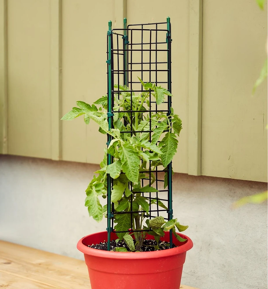 Cage à tomates pour jardinières