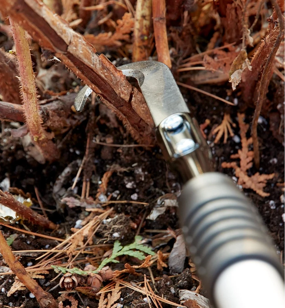 Raspberry Cane Cutter