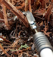 Raspberry Cane Cutter