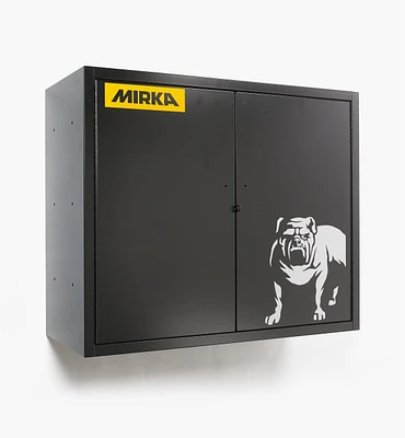 Mirka Wall-Mounted Storage Cabinet