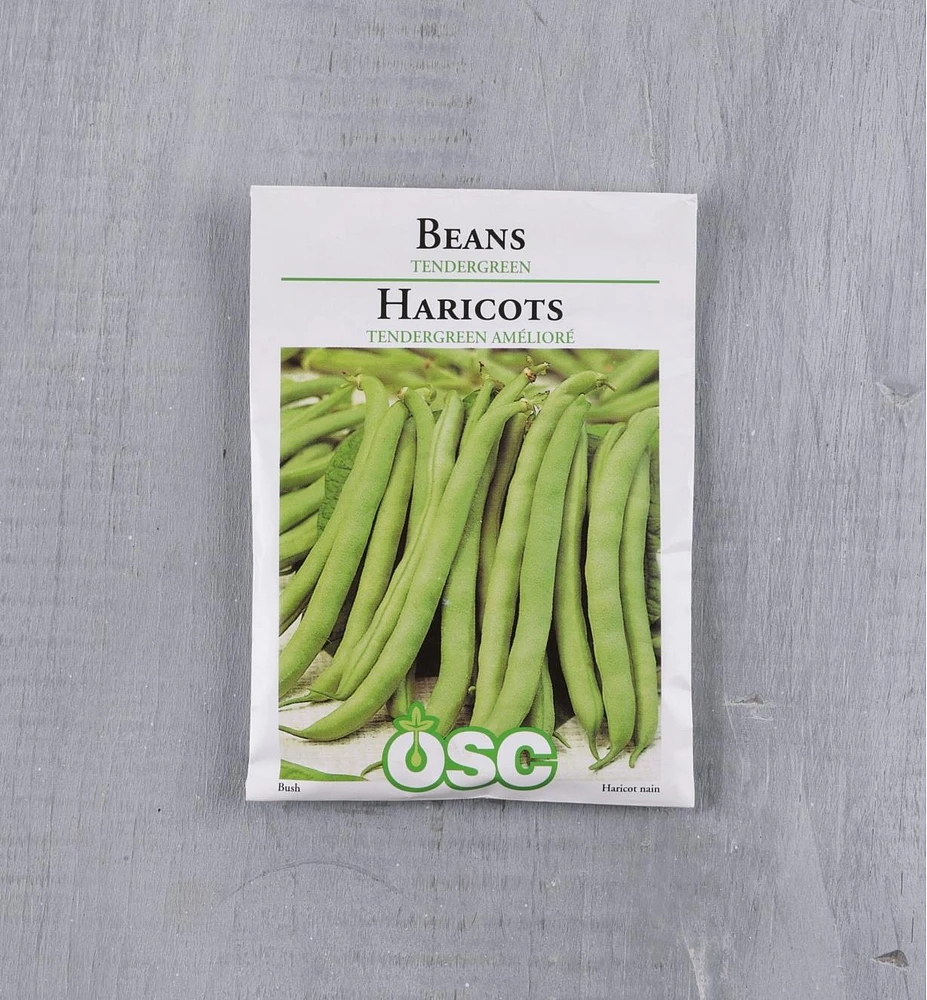 Sachet de semences de haricot OSC