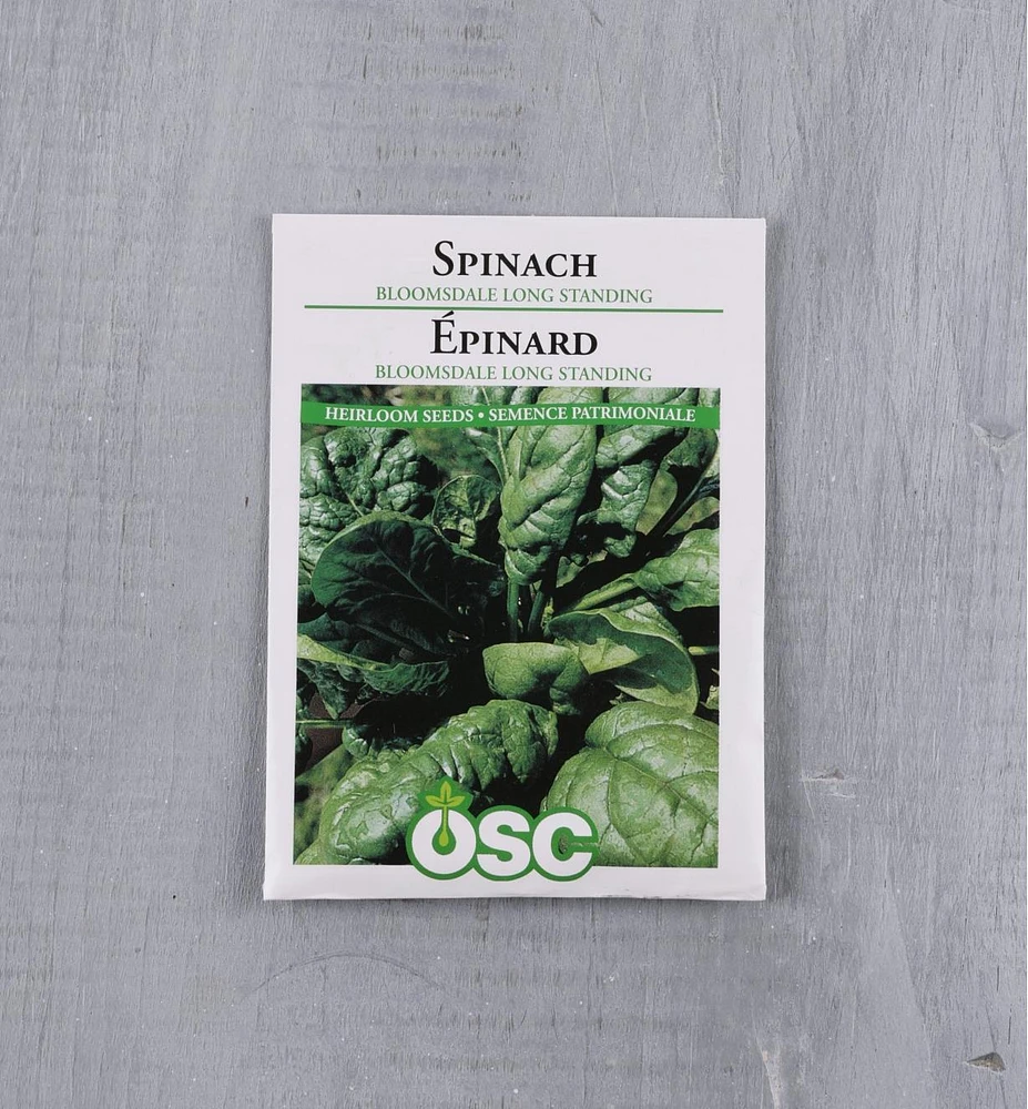 Sachet de semences d'épinard OSC