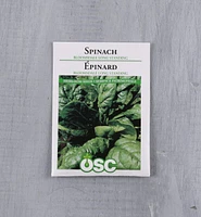 Sachet de semences d'épinard OSC