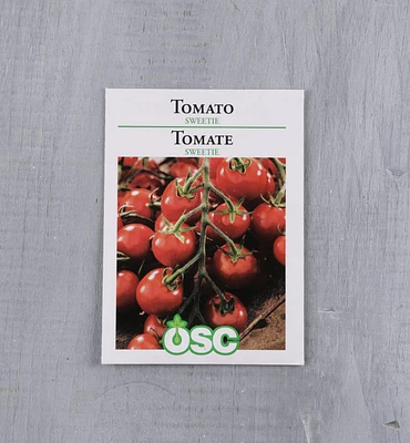 Sachets de semences de tomates OSC