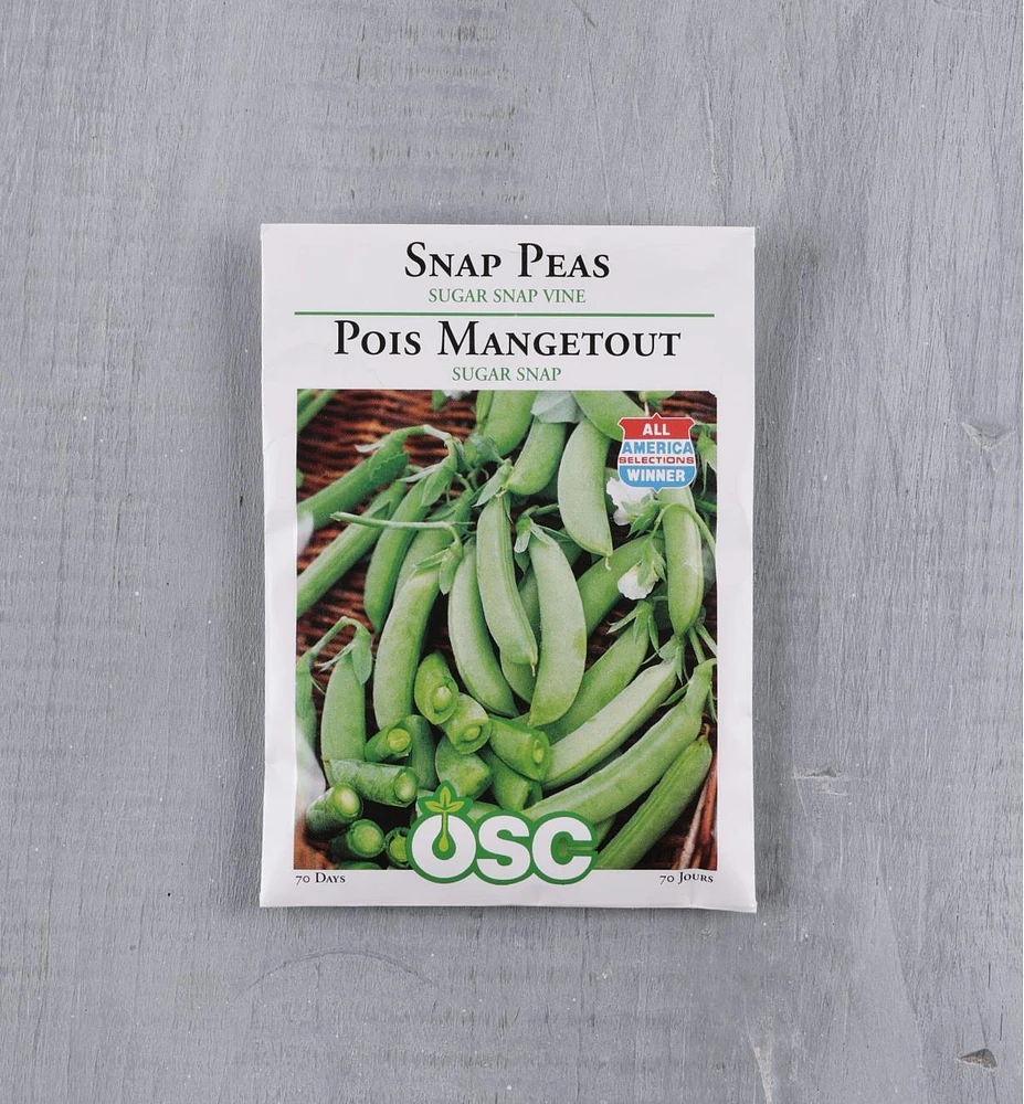 Sachets de semences pois OSC