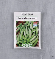 Sachets de semences pois OSC