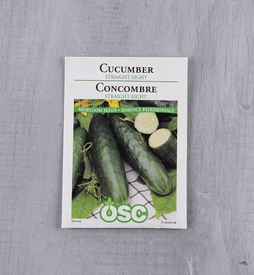 Sachets de semences de concombres OSC