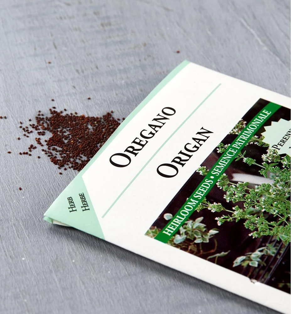 Sachets de semences fines herbes OSC