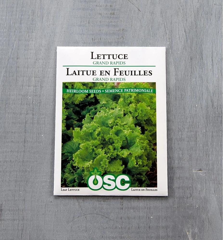 Sachets de semences légumes-feuilles OSC