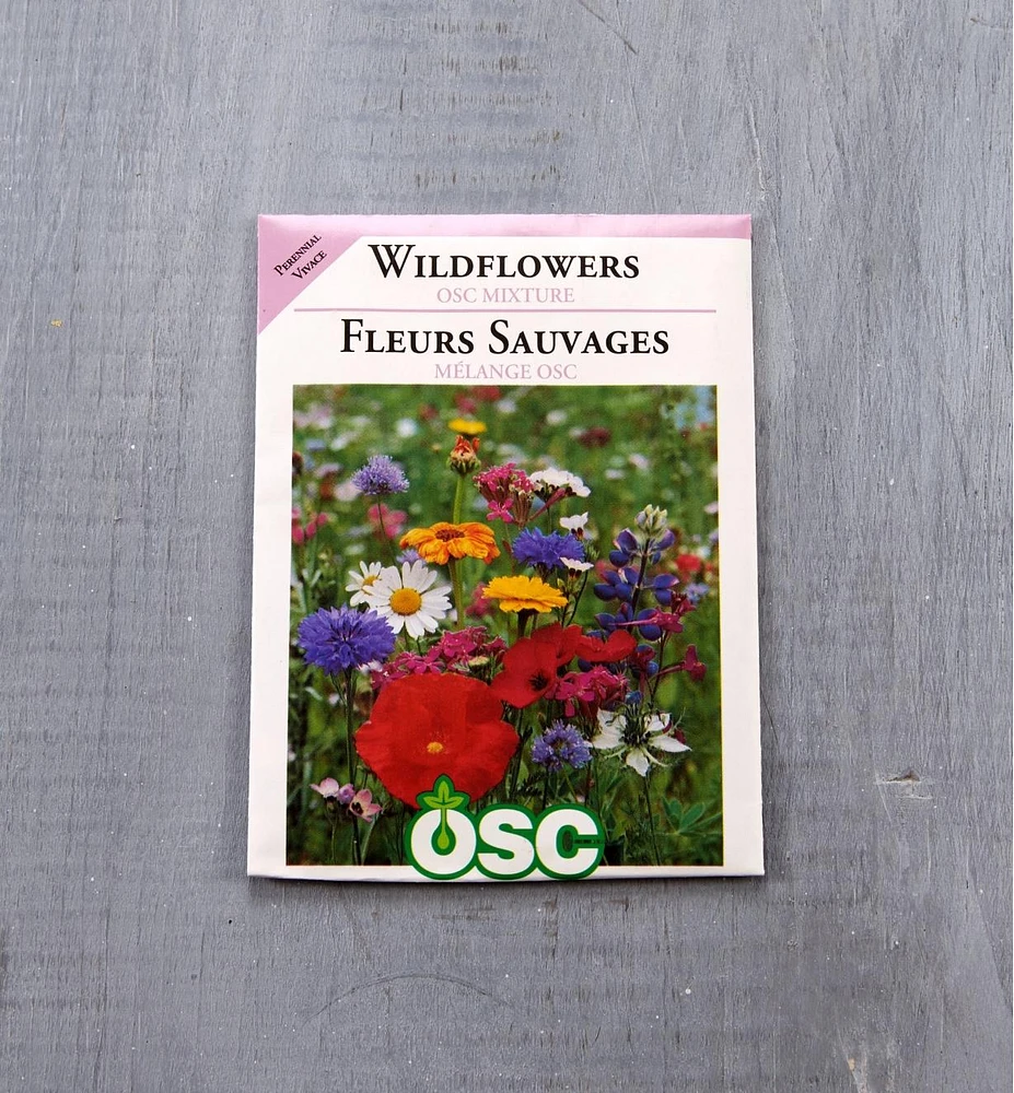 Sachets de semences fleurs OSC