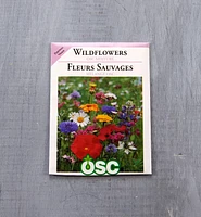 Sachets de semences fleurs OSC