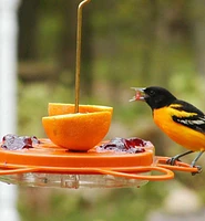 Oriole Bird Feeder