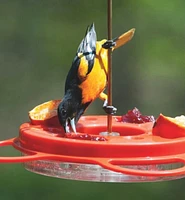 Oriole Bird Feeder