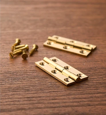 Extruded Brass X-Narrow Butt Hinges