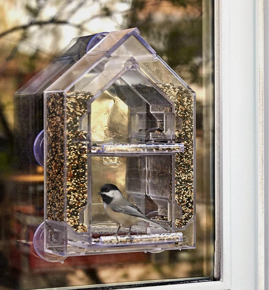 Window Bird Feeder