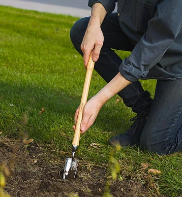 Lee Valley Mid-Length Bulb Planter