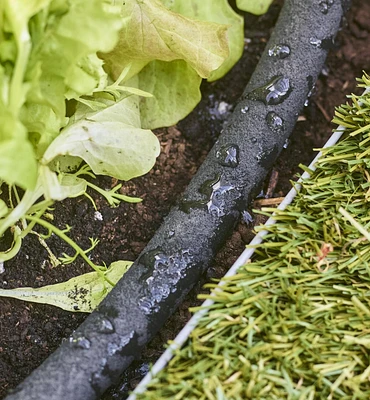 Système d'irrigation par boyau suintant de 100 pi