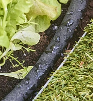 Système d'irrigation par boyau suintant de 100 pi