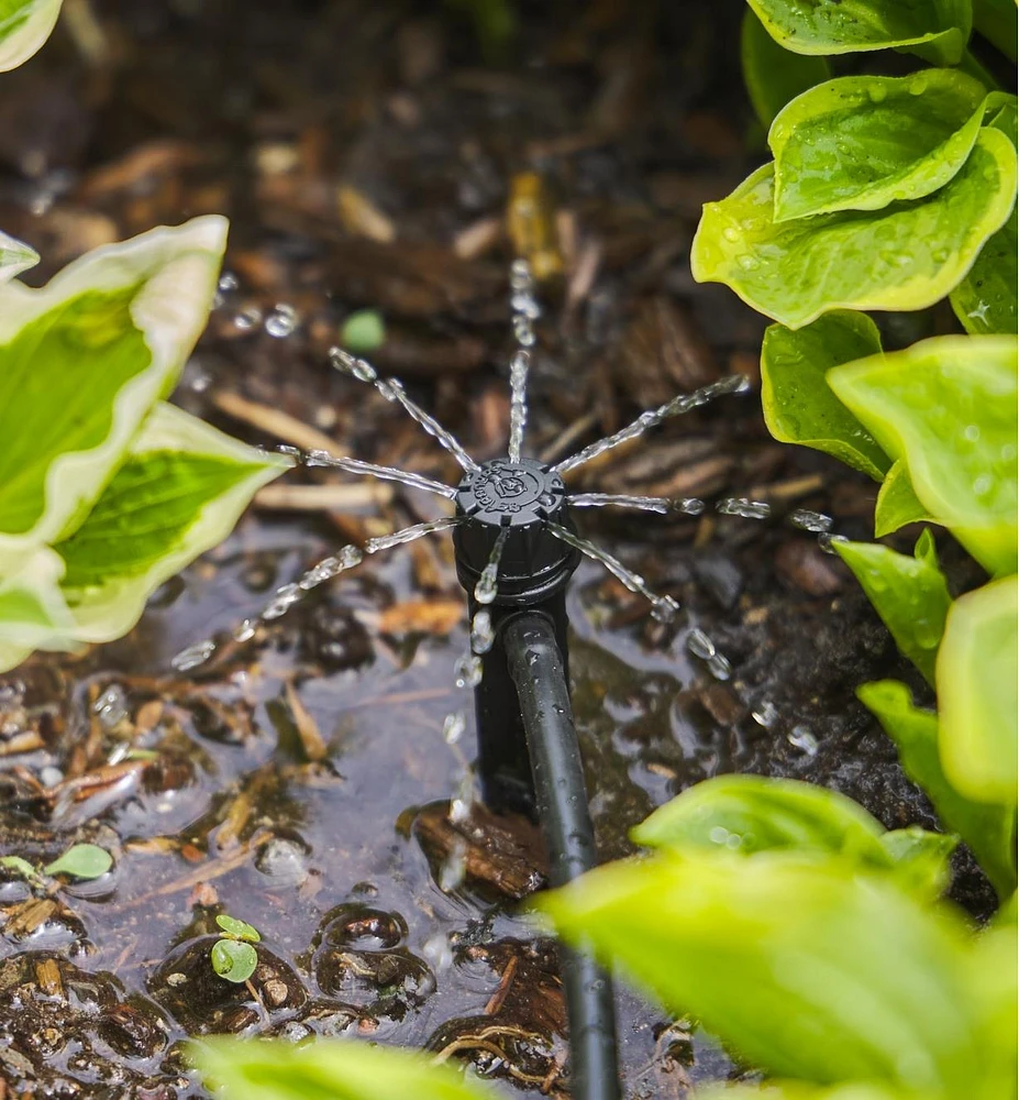 Système d'irrigation Shrubbler