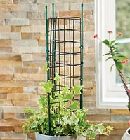 Cage à tomates pour jardinières