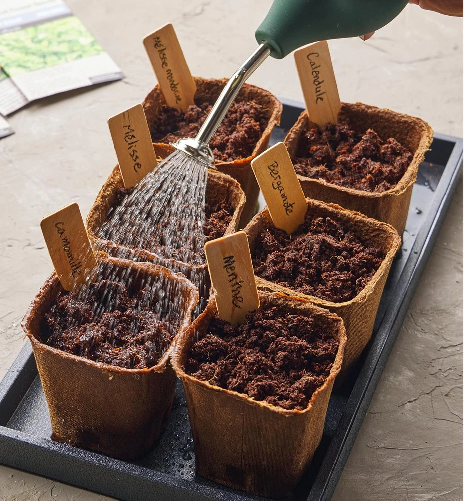 Trousse-projet pour petit jardin d'herbes à infuser