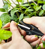 Trousse-projet pour petit jardin d'herbes à infuser