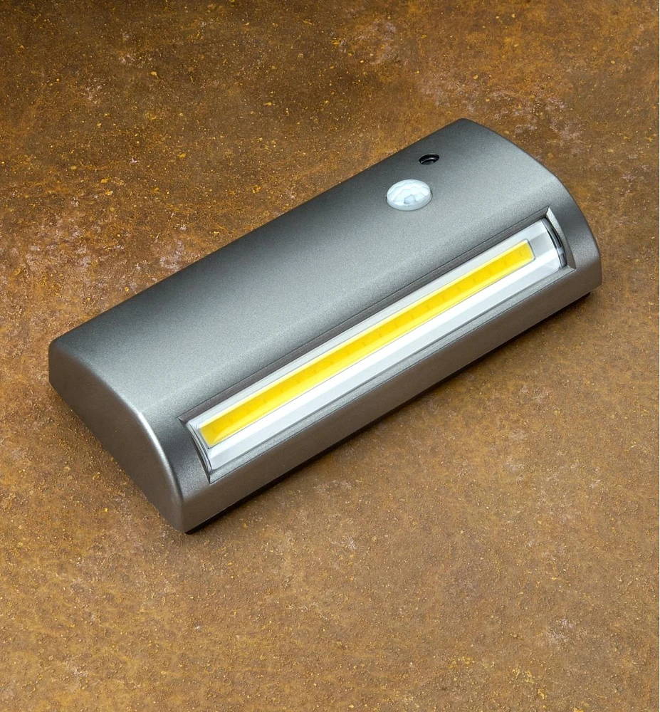 Indoor/Outdoor Motion-Activated Light