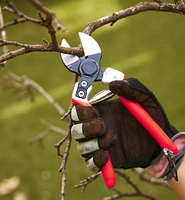 Castellari Double-Bladed Pruner