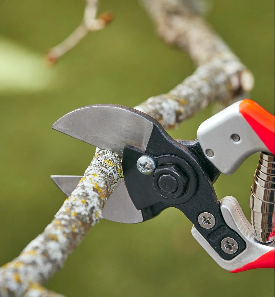 Castellari Double-Bladed Pruner