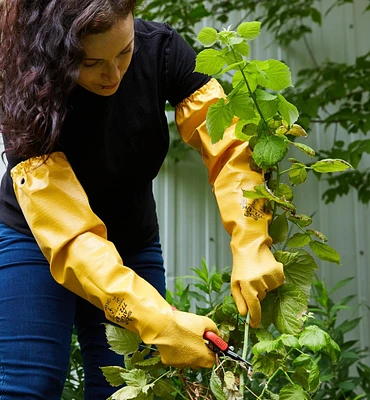 Protective Pruning Gloves