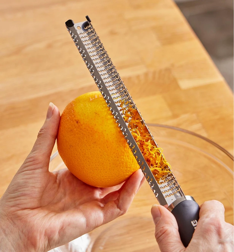 Stainless-Steel Rasp with Handle