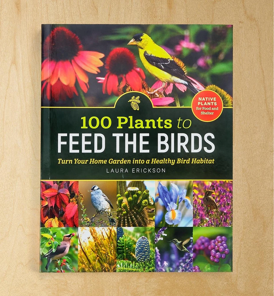 100 Plants to Feed the Birds