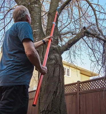 Pole Pruning Set