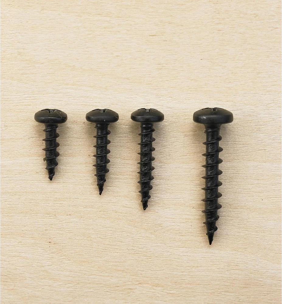 Pan-Head Black Steel Screws