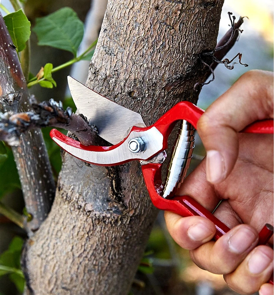 General-Purpose Pruner & Shears Set