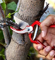 General-Purpose Pruner & Shears Set