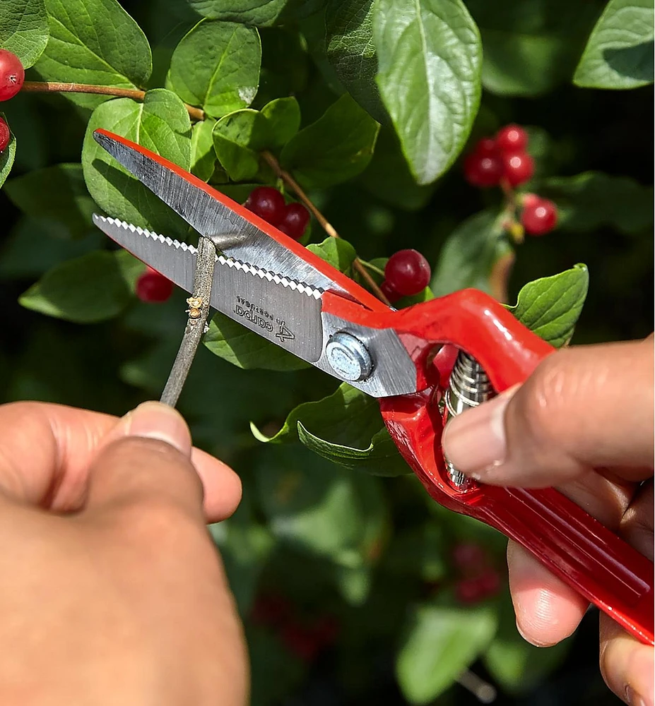 General-Purpose Pruner & Shears Set