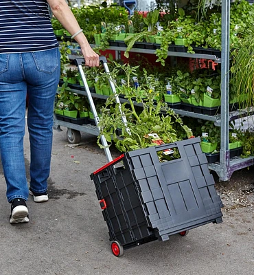 Collapsible Cart